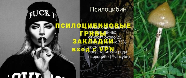 МДПВ Бронницы